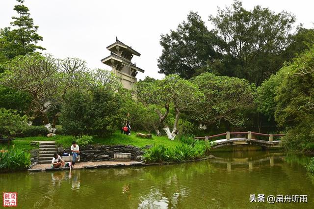 番禺大夫山森林公园，探寻天然氧吧广州大夫山森林公园（大夫山森林公园真的太大了）