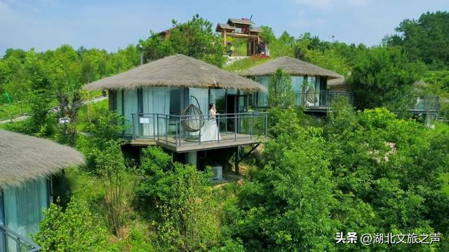 免费游湖北泡温泉，第8期：游花海、泡温泉