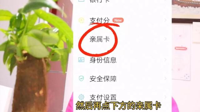 新微信号怎样开通微信支付，新微信号怎样开通微信支付码（微信里没有零钱未绑银行卡）