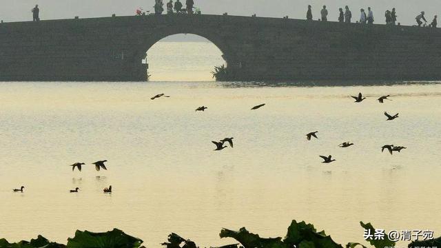 全国十大旅游景点，国内十大旅游景点（五一出游，国内十大景点推荐）