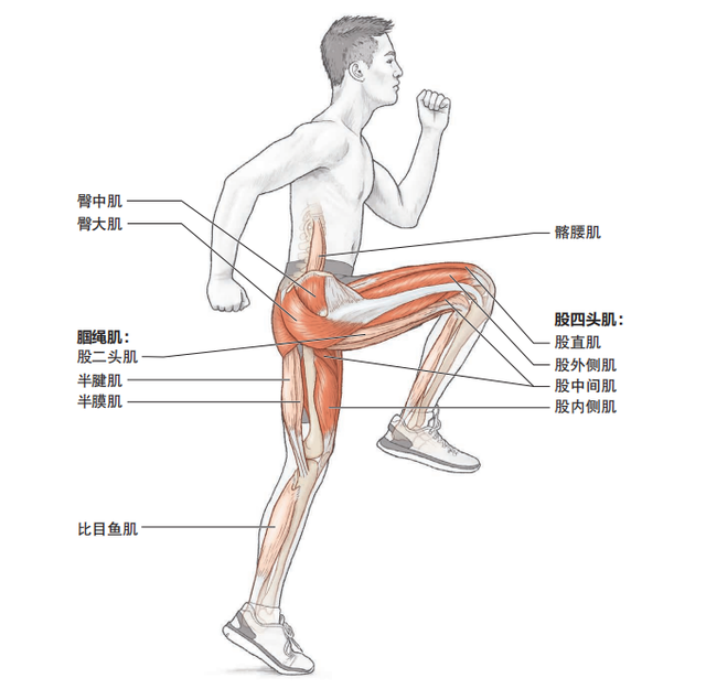 如何提高跑步速度，如何快速提高跑步速度（推荐快速提升跑步配速的6个基础训练动作）