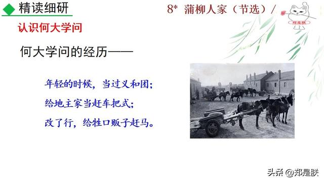 形容人物性格的词语，形容人性格的词语（蒲柳人家.刘绍棠.课文+诵读·+课件+知识点）