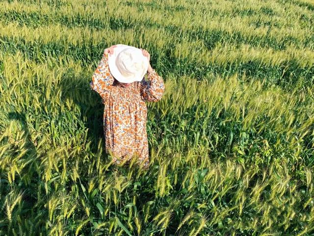 从化旅游景点大全，从化一日游旅游攻略大全（打卡吕田鹰嘴桃花+罗洞工匠小镇麦浪+莲麻小镇）