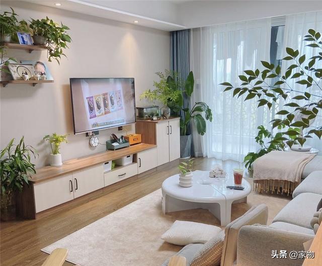 10种好看的鸟，这8种造型又漂亮又好养