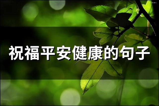 开车注意安全的暖心话，开车注意安全的暖心句子（祝福平安健康的句子）