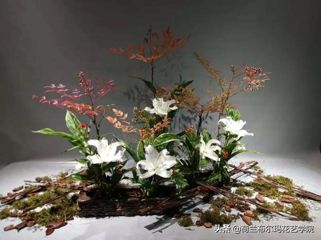 怎么挑选木本植物，怎么挑选木本植物盆景（木本花材的使用技巧和处理方法）