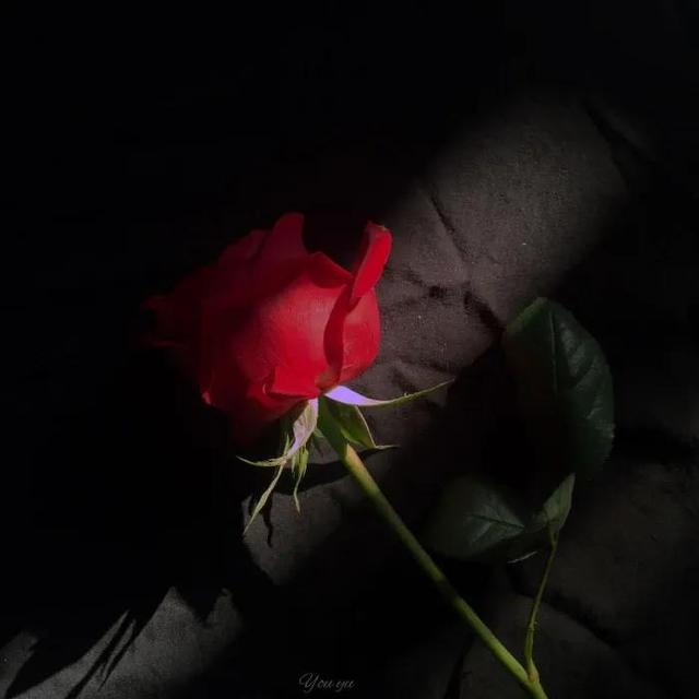 快手能看到访客记录吗，快手可以看到访客吗（文案/让你瞬间破防的文案）