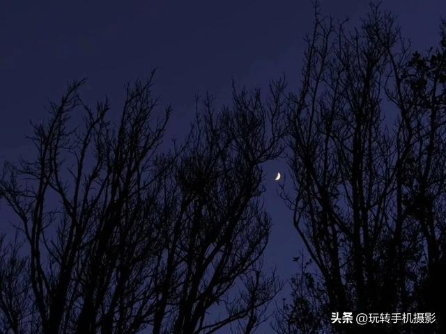 拍月亮用什么镜头，单反拍月亮需要什么镜头（手机如何拍中秋月亮）