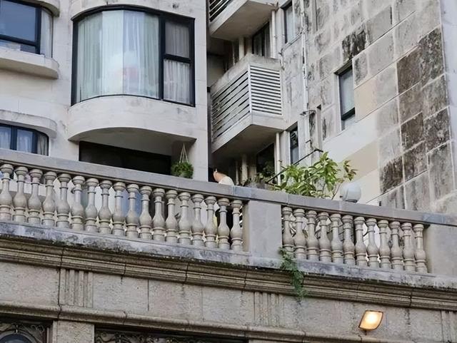 周杰伦身价多少亿，周杰伦身价多少亿2022（周杰伦新歌被质疑江郎才尽）
