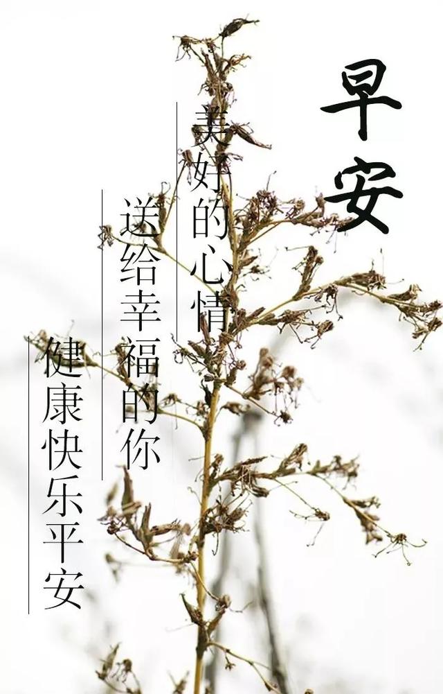 励志早安心语正能量，每天励志正能量早安语（正能量生活语录句子）