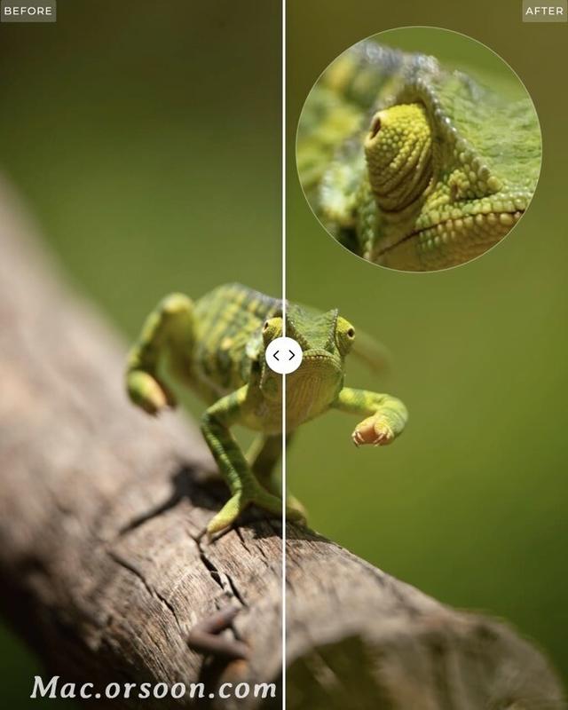 制作照片的软件，哪个制作照片的软件比较好啊（照片编辑必备的软件之一）