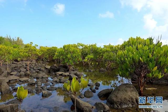 魅力海南美丽儋州，探寻海南西部风光别样之美