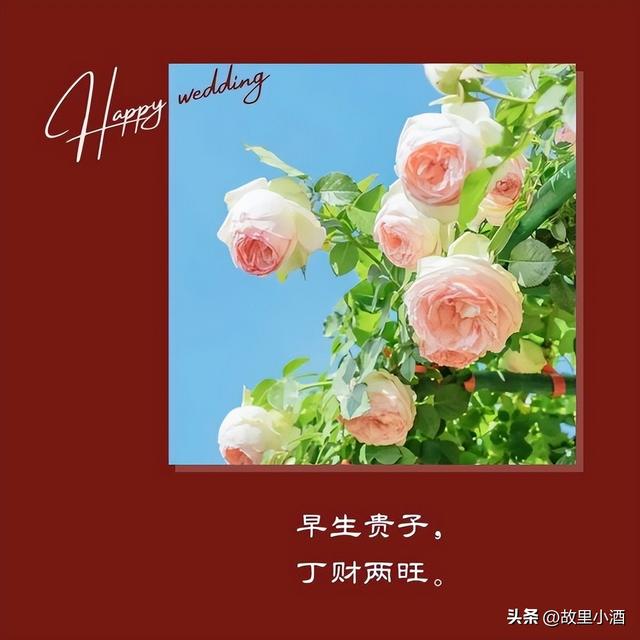 新婚祝福简短话，新婚祝福小短句（新婚祝福语：举案齐眉）