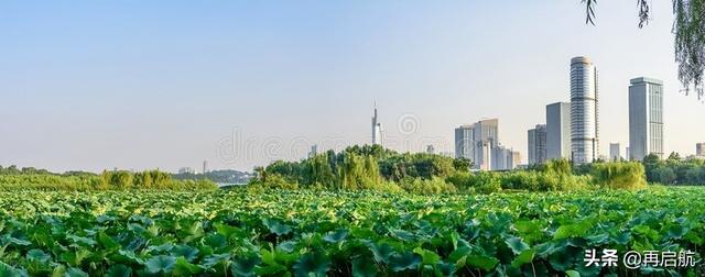 南京中医药大学分数线，南京中医药大学2022录取分数线（2022江苏历史类）