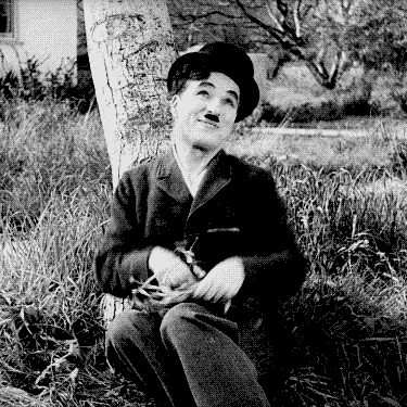 马冬梅什么梗，马冬梅是谁是什么意思（沈腾救不了国产喜剧）