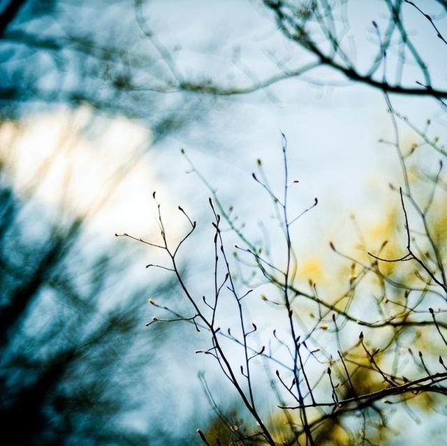 致生活中的小美好唯美的句子，关于致生活中的小美好唯美的句子（感悟生活美好的经典句子）