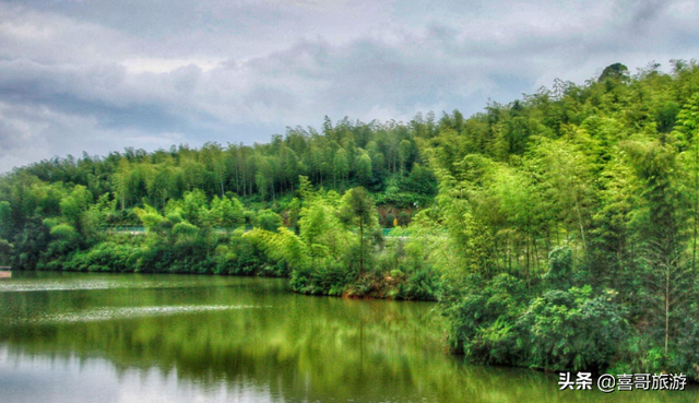 关于赤水市介绍，赤水市在哪里（贵州省遵义市赤水市十大景区有哪些）