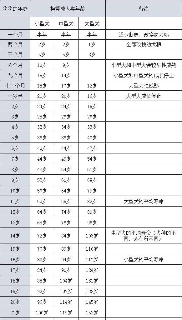 生肖狗哪一年出生 生肖狗出生月份命运 - 珍缘易学
