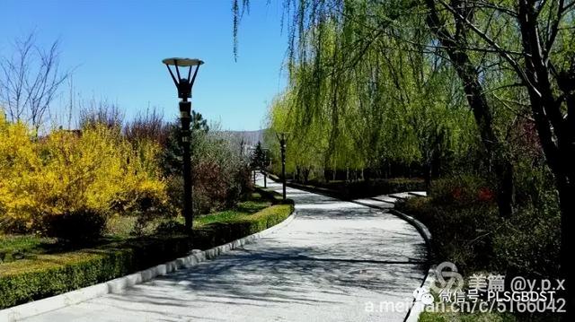 南山公园在哪里，深圳大南山公园开放时间（这是你们熟悉的那个南山公园吗）