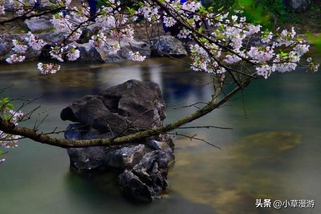 春天最适合旅行的地方，我在这3个地体验到了