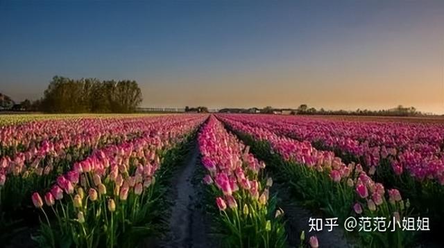 哪个国家留学费用最低，出国留学费用较低的国家一览（哪些国家的留学费用比较低）