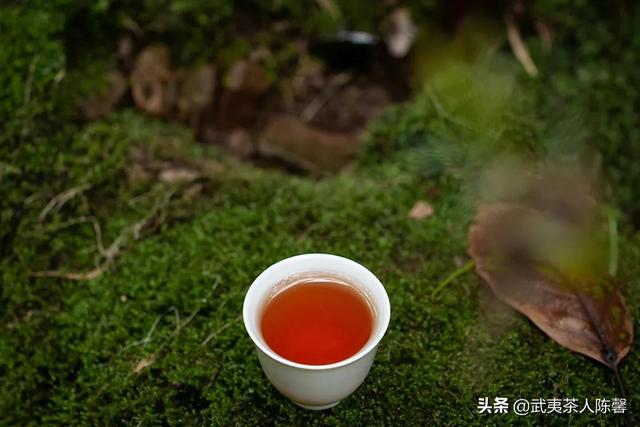 武夷山茶叶有多少品种，茶人口中的奇种你知道是什么吗