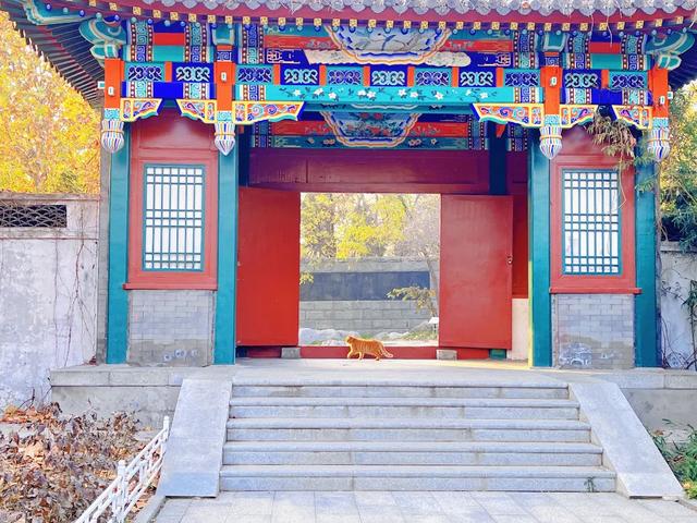 石家庄市水上公园，石家庄适合带孩子玩的地方（有种记忆，叫石家庄水上公园）