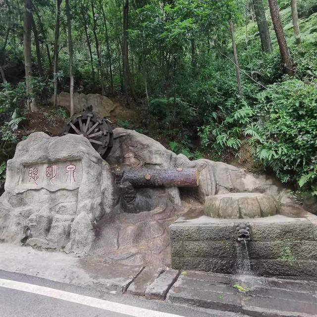 歌乐山森林公园，重庆主城700米高山-歌乐山森林公园乘凉