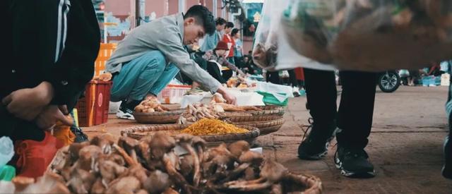 云南最好吃的野生菌在哪，中国最浪漫城市非她莫属