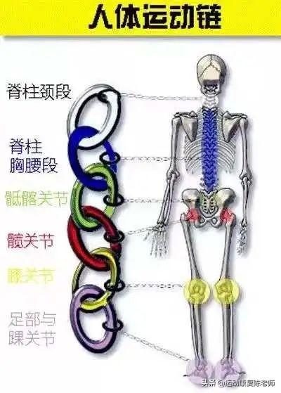 原地深蹲正确姿势，原地深蹲正确姿势图片（教你正确深蹲，告别膝痛）