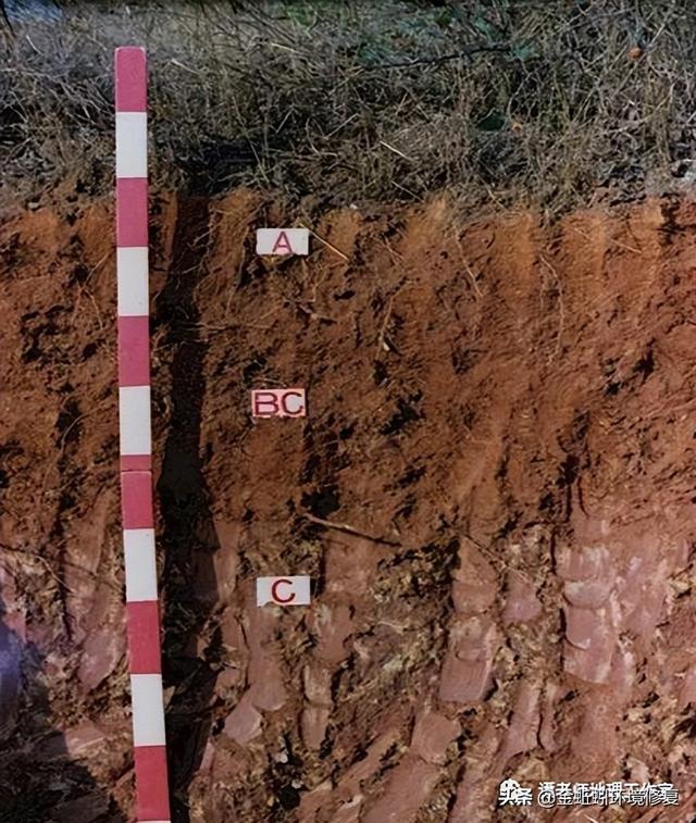 土地性质分类和用途，怎么查个人土地信息（附中国土壤的分类及分布）