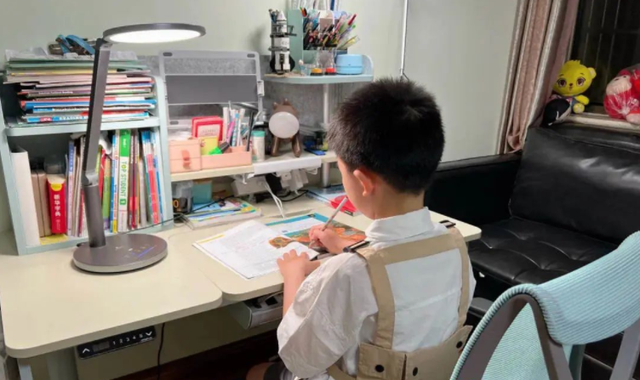 能字笔顺笔画，能的笔顺怎么写（按照“会写—写好—写快”的标准）