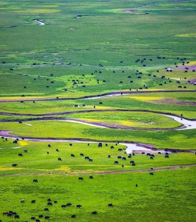 一个人可以玩什么，一个人玩的运动项目（适合一个人旅行的10个地方）