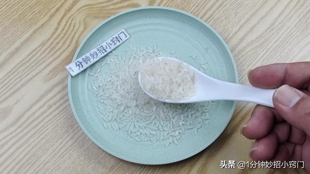 家里进老鼠了应该怎么办，家里进老鼠了怎么办（家里出现老鼠不要慌）