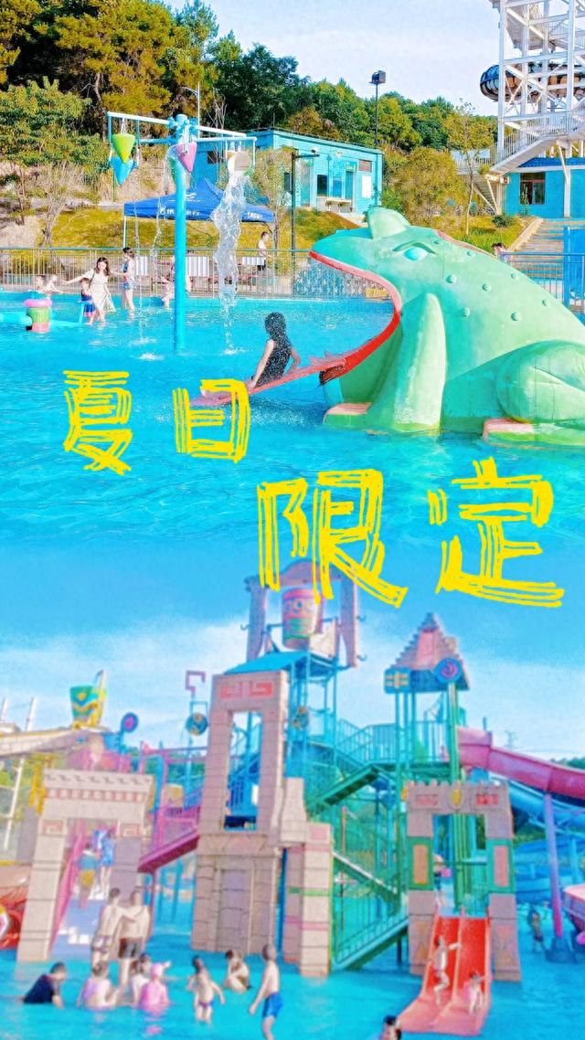 周末出发！市区就能赏花、玩水、喂动物…还有宝藏向日葵惊艳绽放，别错过！