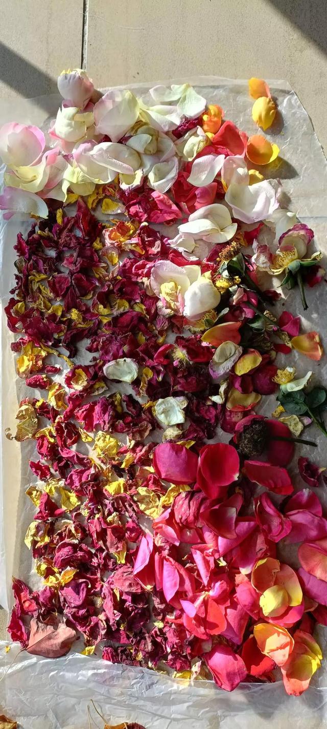 灵魂相似的人一旦相逢，灵魂相似的人一旦相逢是知心朋友（总有一天会在路上相逢）