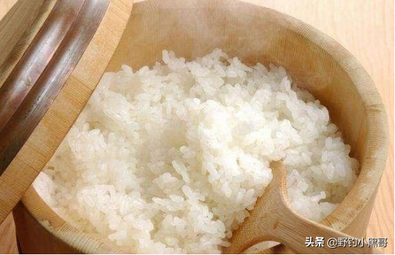 下雨天怎么钓鱼，下雨天怎么钓鱼比较好（入夏后不管新手还是老鸟）