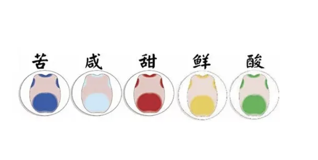 谷氨酸钠与味精的区别，谷氨酸钠与味精的区别是什么（味精是“害人精”）