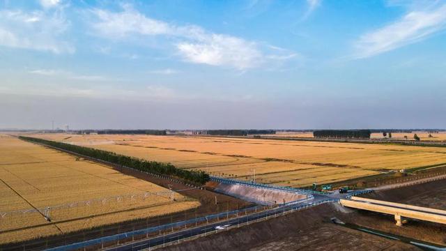 土壤污染防治的有效措施，土壤污染防治的具体措施（西平分局六项措施做好土壤和农村污染防治工作）