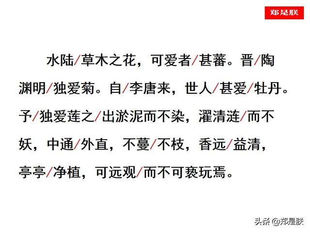 爱莲说原文朗读，爱莲说拼音版原文（部编人教版七年级语文下第17课《爱莲说》周敦颐-诵读+课件）