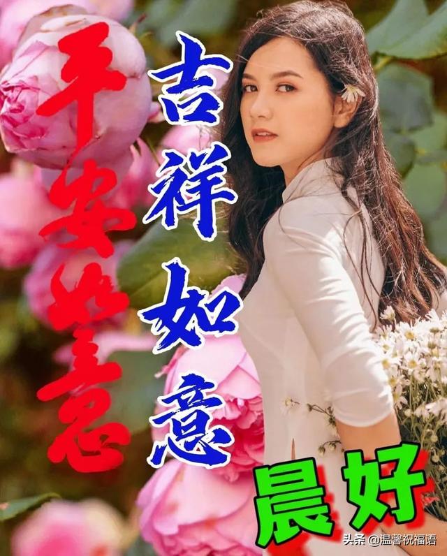 友谊祝福语简短，友谊祝福语简短8个字（淡淡祝福重如山；轻松问候心相连）