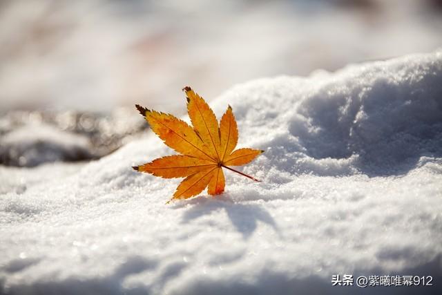 一句简短的雪景句子，雪景的句子唯美简短（那些关于下雪的文案）