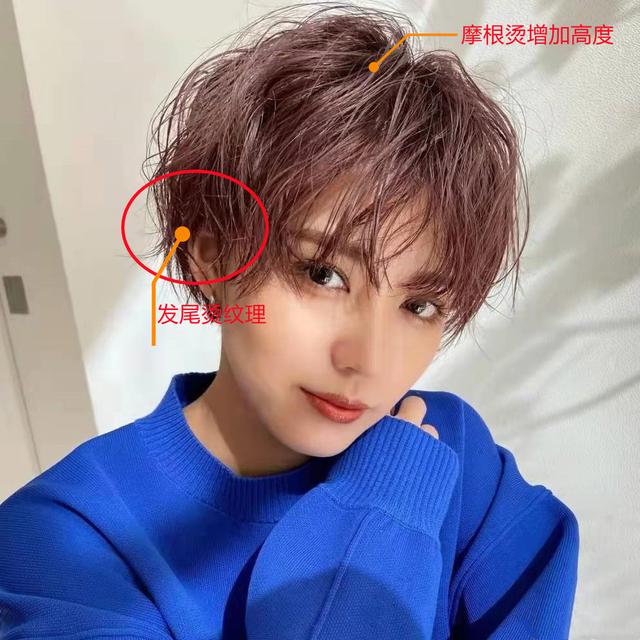 适合自然卷女生的短发，适合自然卷女生的短发图片（短发别再烫“满头卷”了）