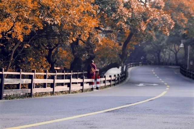 普陀山旅游攻略最新，普陀山旅游攻略2021（期待与你在普陀山朱家尖的邂逅~）