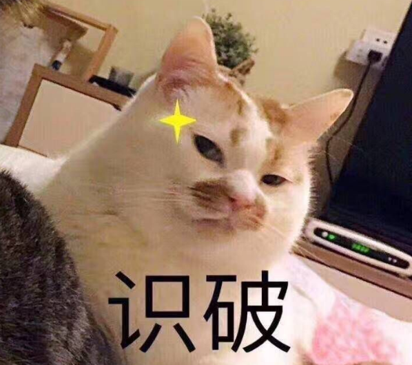 猫的记忆有多久，小猫几个月有记忆（20个养猫冷知识）