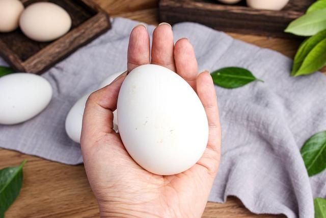 鹅蛋能去胎毒吗，孕妇吃鹅蛋可以去胎毒吗（“鹅蛋去胎毒”）