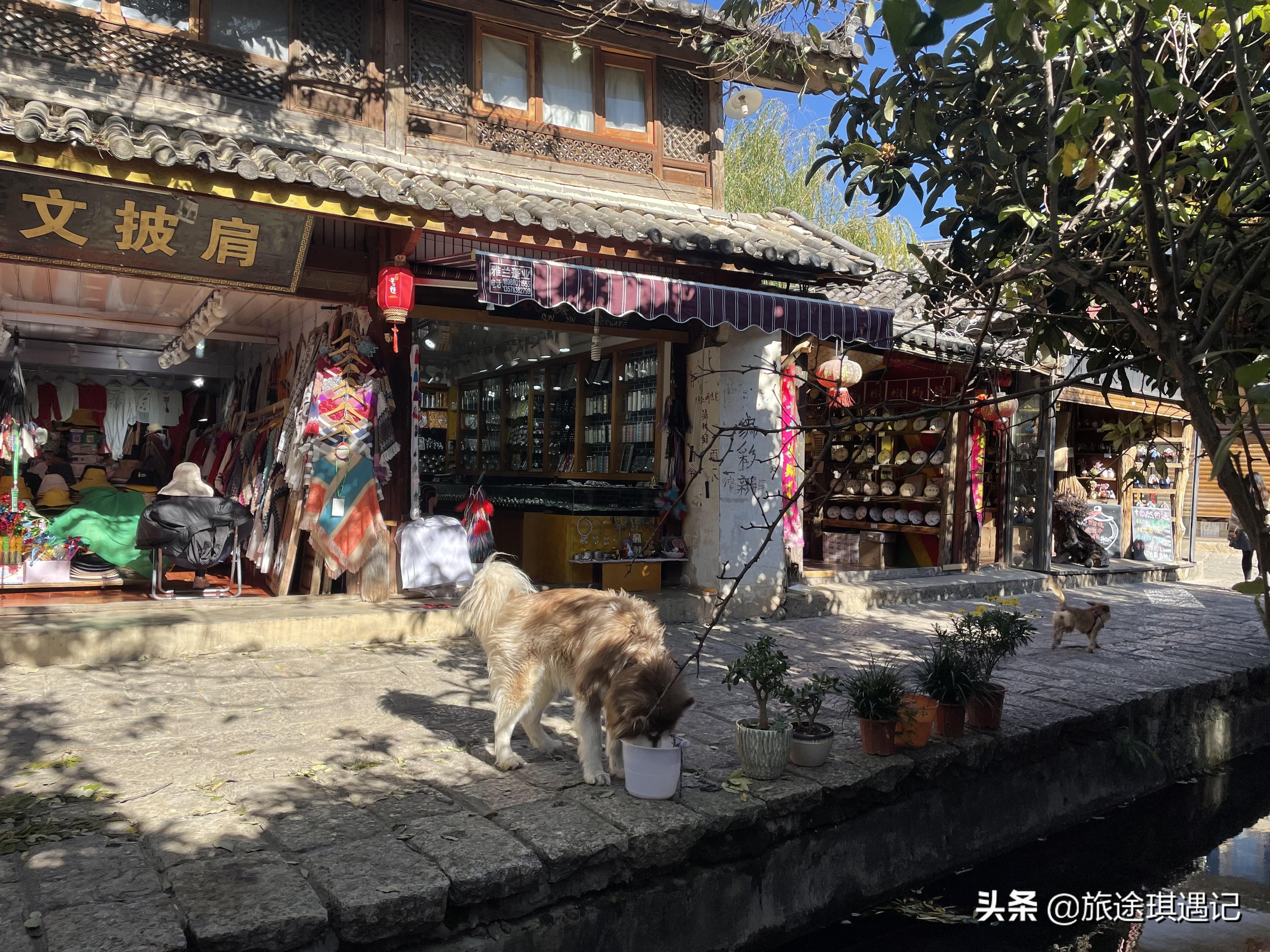 丽江旅游攻略必去景点（推荐几个值得一去网红打卡地）