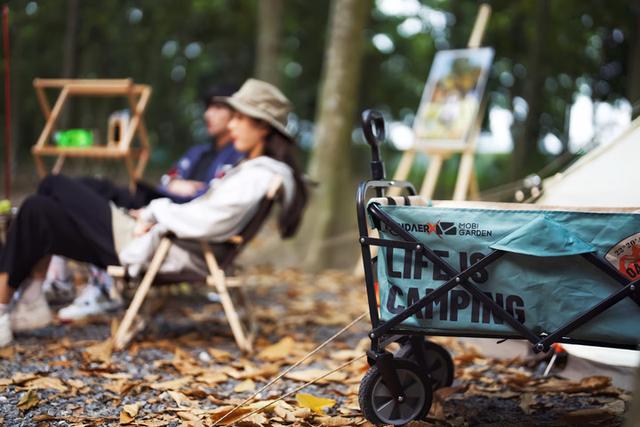 手机没有nfc功能怎么办，手机不支持NFC功能怎么办（编辑如何机智出行）