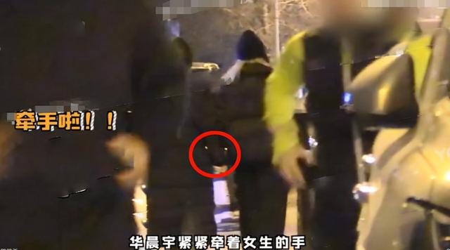 网红头像2018微信，网红头像2018（与华晨宇晚间同行难掩喜悦）