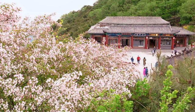 泰山好玩吗，泰山旅游攻略（此生不老，必去泰山）